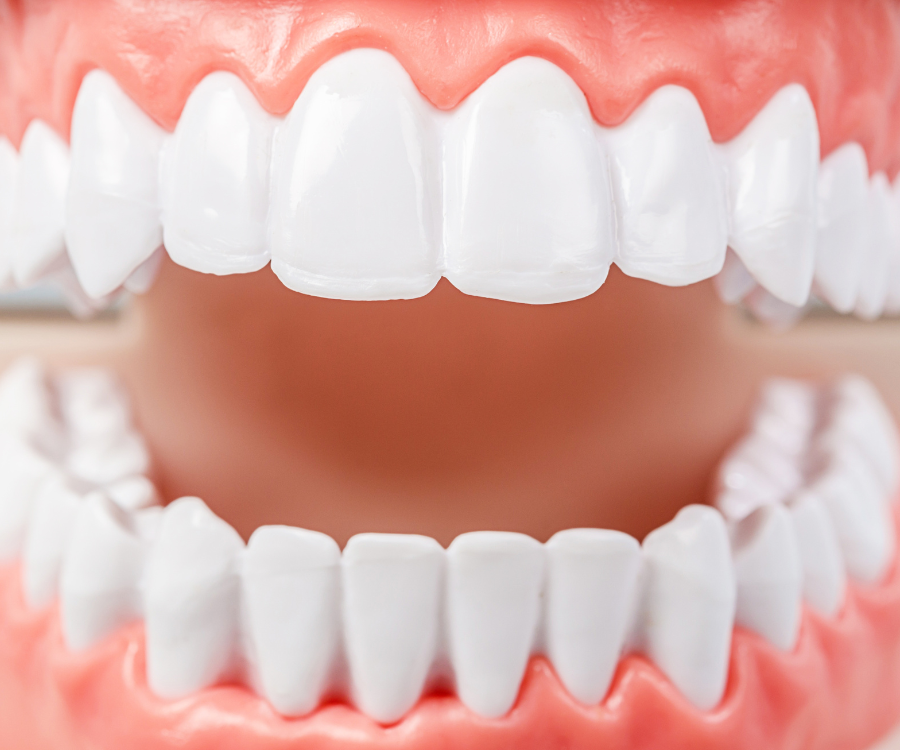 How Regenerative Dentistry is Reshaping the Future of Tooth Repair